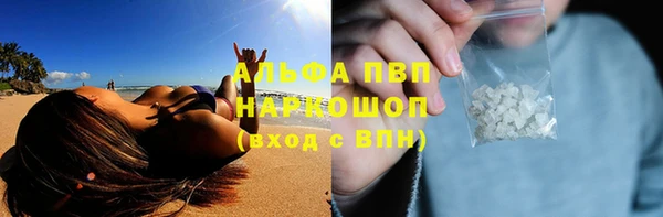 гидра Михайловск
