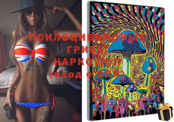 гидропоника Михайлов