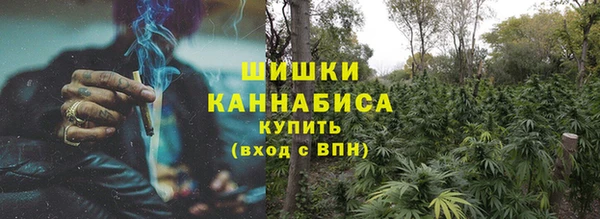 гидра Михайловск