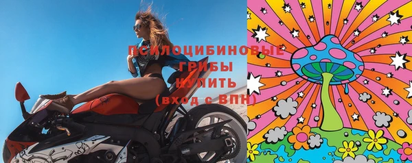 соль курить ск Болотное